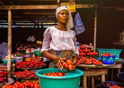 Afrikanische Marktfrau mit Tomaten